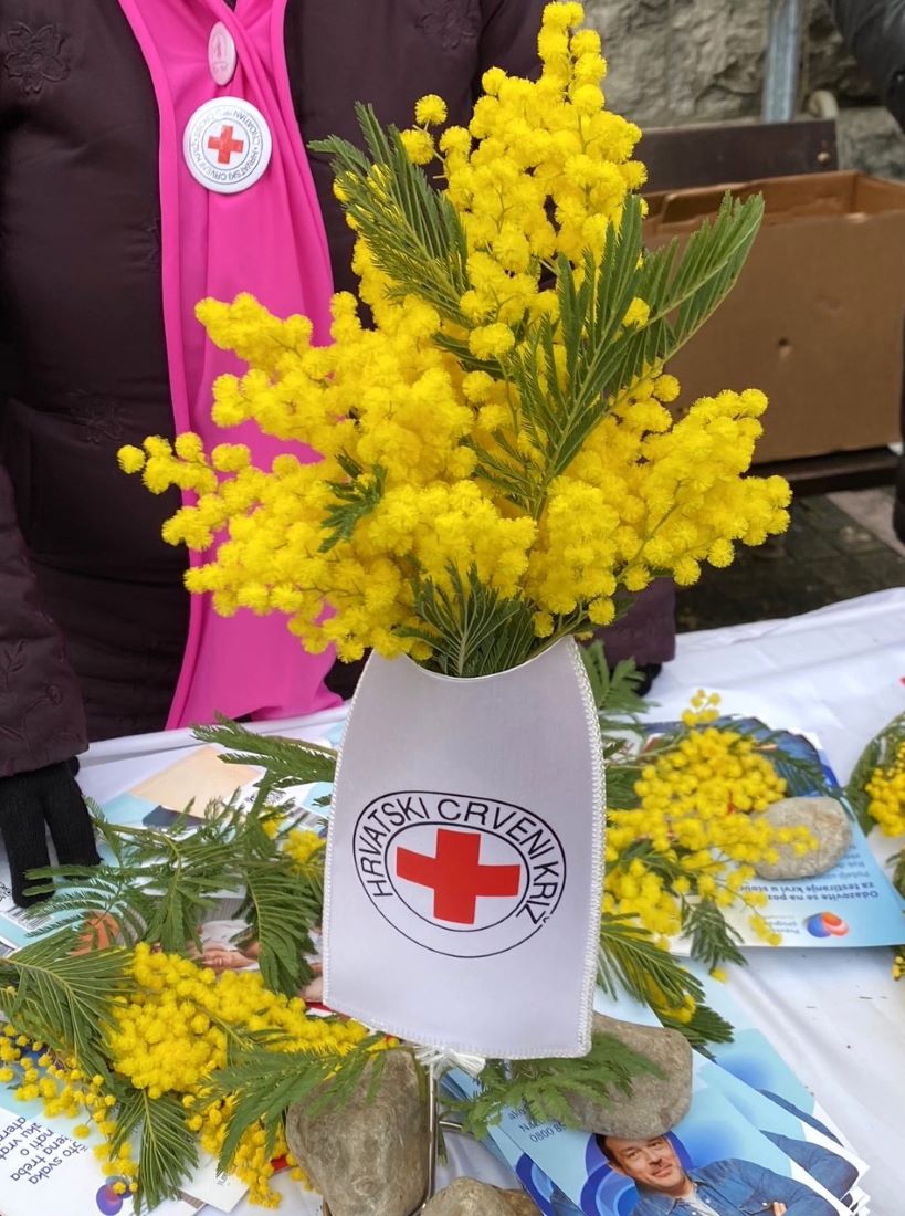 opatija dan mimoza (4) opatija dan mimoza (4)