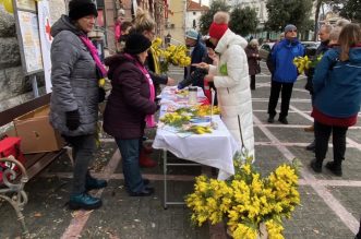 opatija dan mimoza (6)