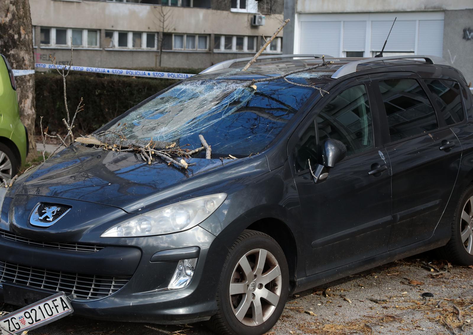 Zagreb: Vjetar srušio stablo jablana, oštećeno više automobila Zagreb: Vjetar srušio stablo jablana, oštećeno više automobila