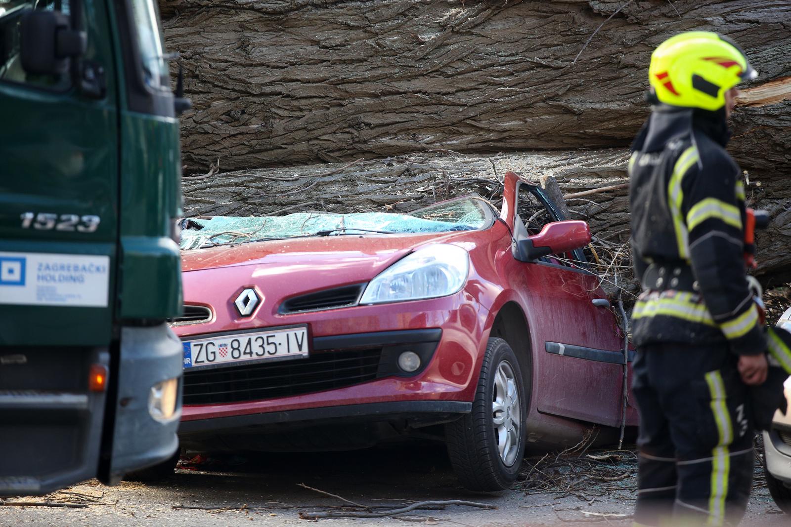 Zagreb: Vjetar srušio stablo jablana, oštećeno više automobila Zagreb: Vjetar srušio stablo jablana, oštećeno više automobila