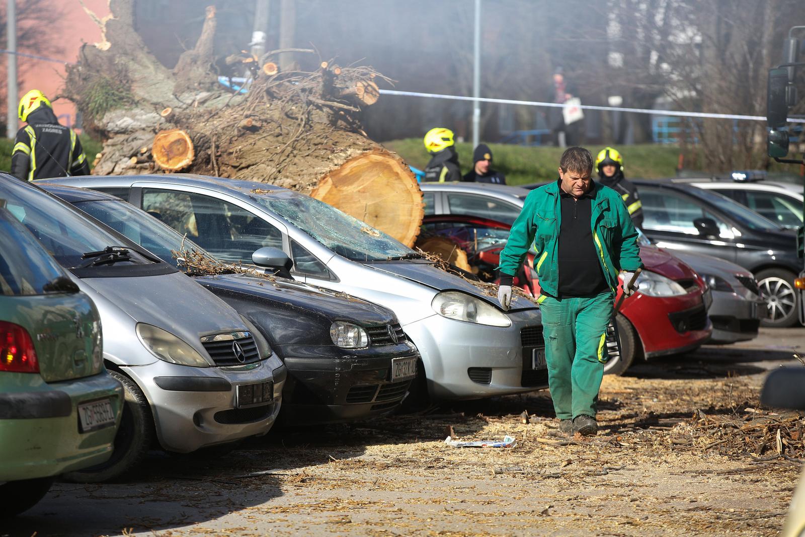 Zagreb: Vjetar srušio stablo jablana, oštećeno više automobila Zagreb: Vjetar srušio stablo jablana, oštećeno više automobila