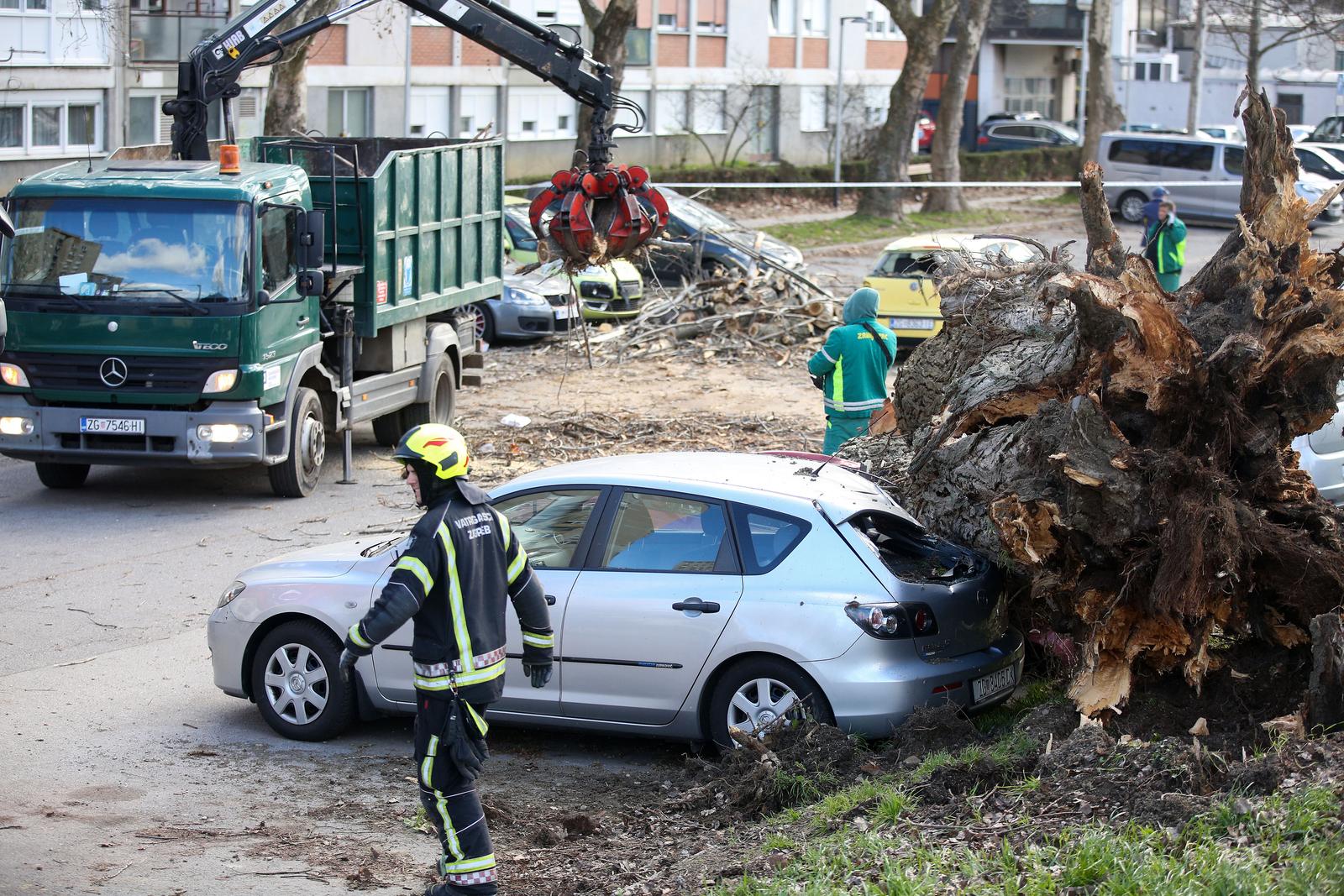 Zagreb: Vjetar srušio stablo jablana, oštećeno više automobila Zagreb: Vjetar srušio stablo jablana, oštećeno više automobila