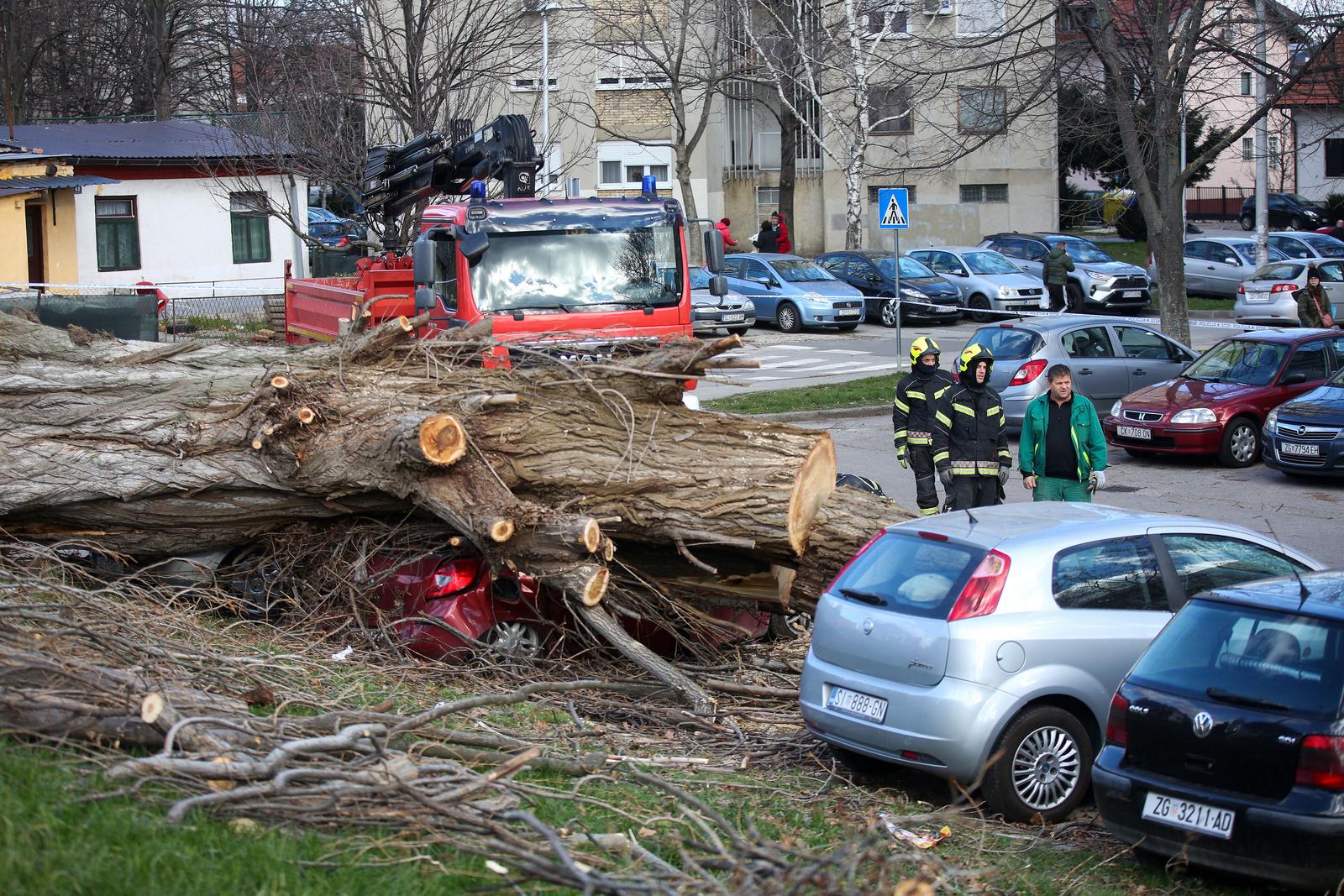 Zagreb: Vjetar srušio stablo jablana, oštećeno više automobila Zagreb: Vjetar srušio stablo jablana, oštećeno više automobila