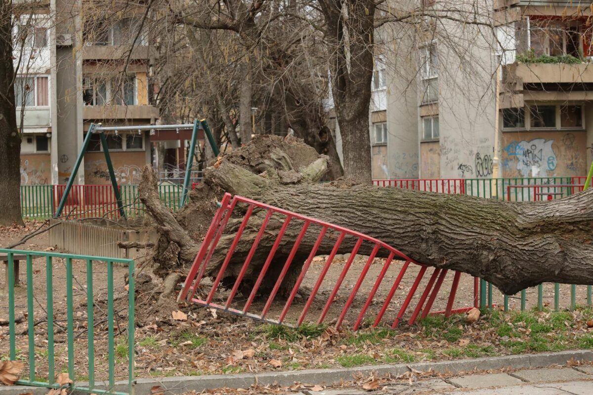 Olujni vjetar prouzročio štetu u Osijeku