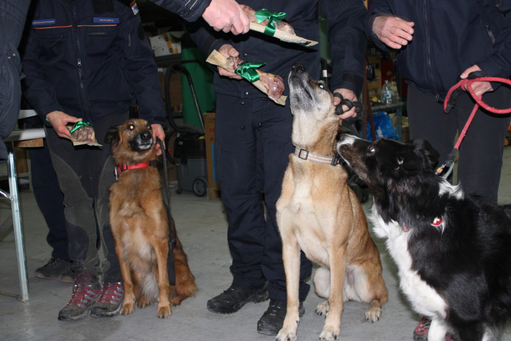 hrvatski tim turska (9) hrvatski tim turska (9)