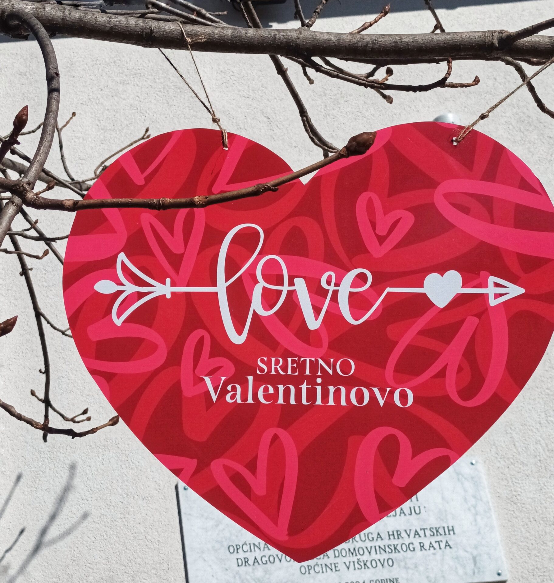 valentinovo viskovo (3) valentinovo viskovo (3)