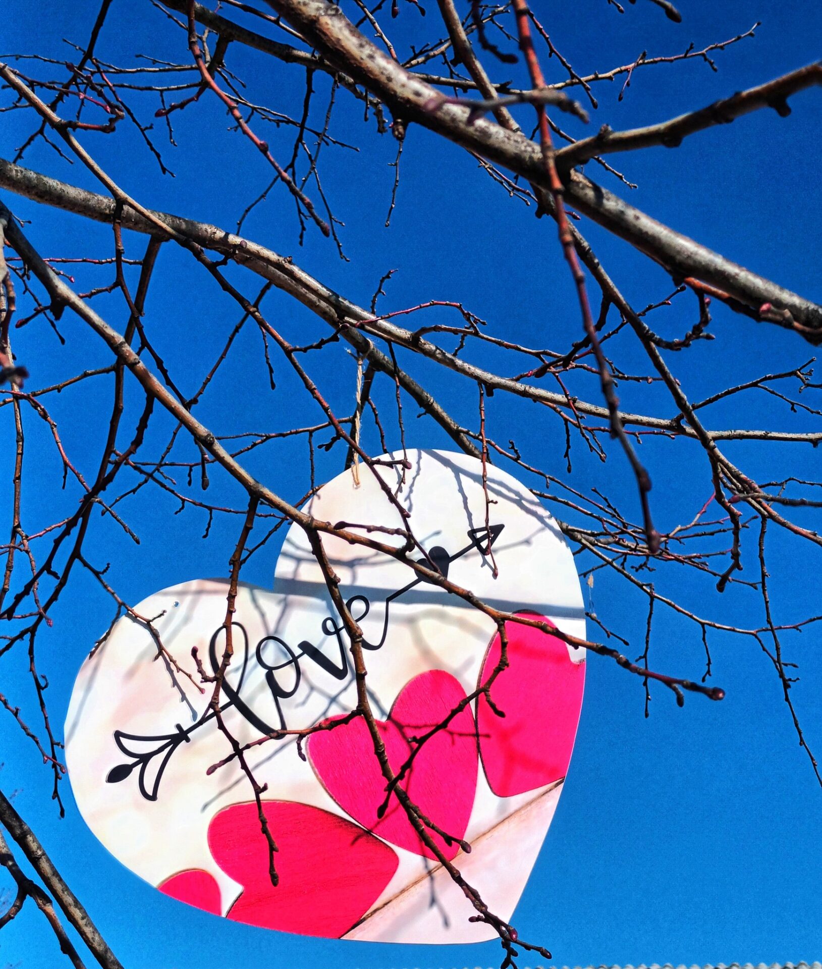 valentinovo viskovo (5) valentinovo viskovo (5)