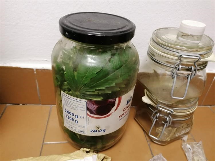 Droga Crikvenica 2