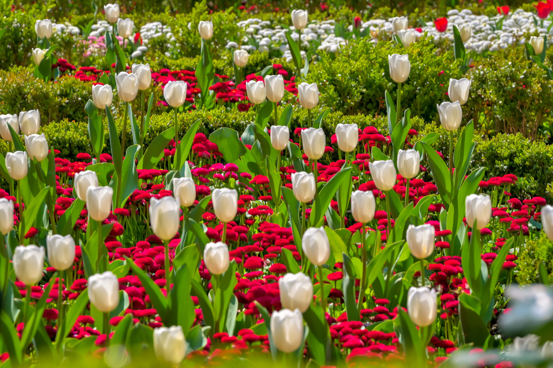 Opatija 2022 Uskrs-17 Opatija 2022 Uskrs-17