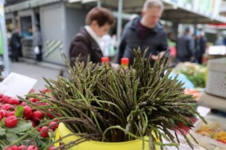 Rijeka: Počela je prodaja šparoga na tržnici, cijena ide do 4o eura