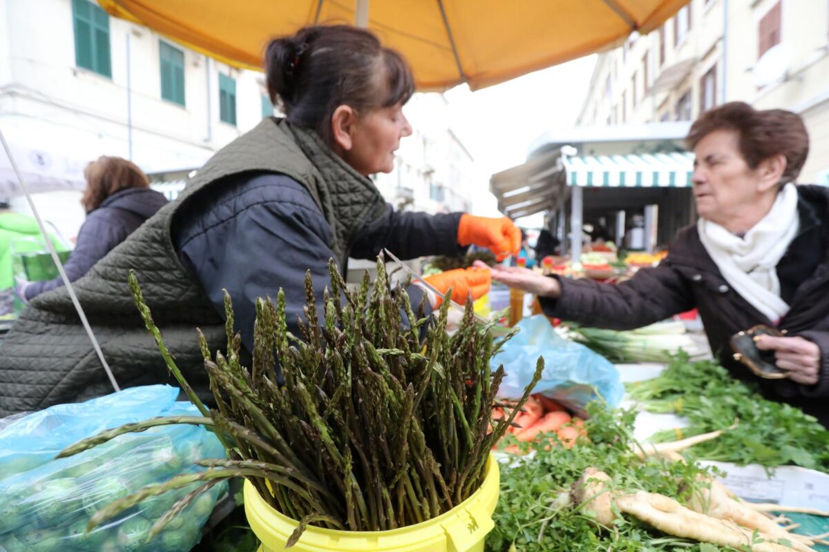 Rijeka: Počela je prodaja šparoga na tržnici, cijena ide do 4o eura