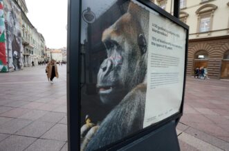 Rijeka: Na Korzu postavljena izložba “Volim grad kojim ne teče smeće”