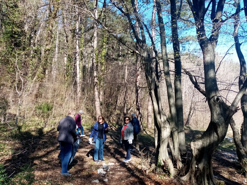 Sakupnjanje-smeća Sakupnjanje-smeća