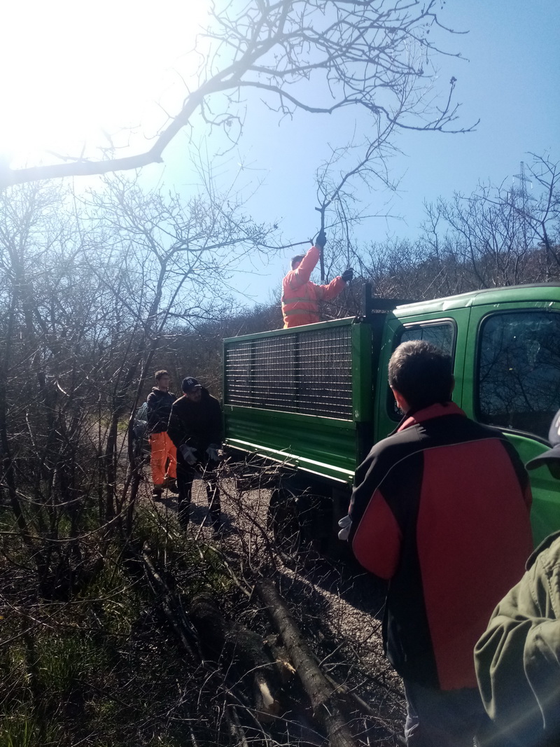 Utovra-granja-u-kamion Utovra-granja-u-kamion