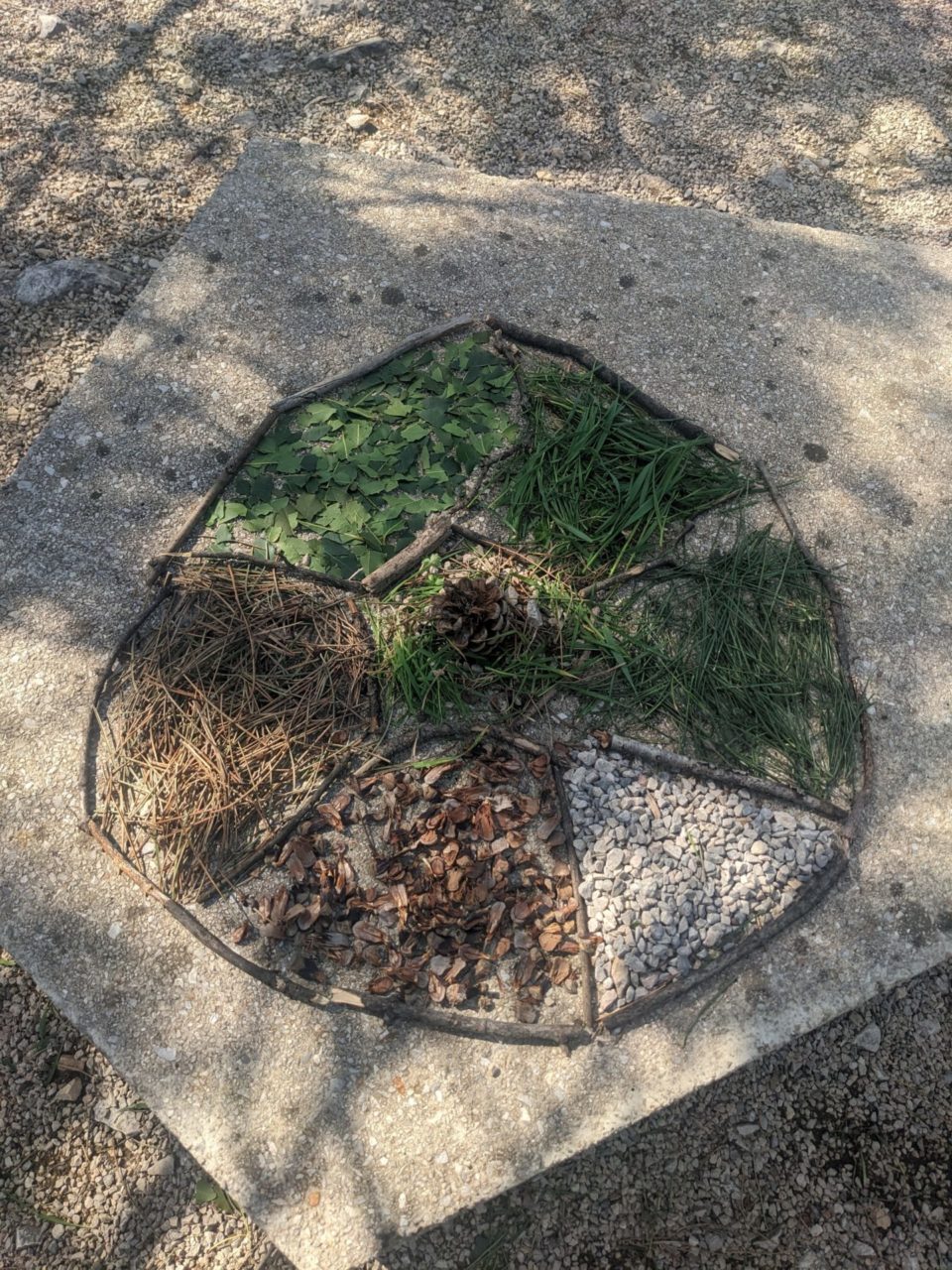 park suma sveti kriz akcija ciscenja (10) park suma sveti kriz akcija ciscenja (10)