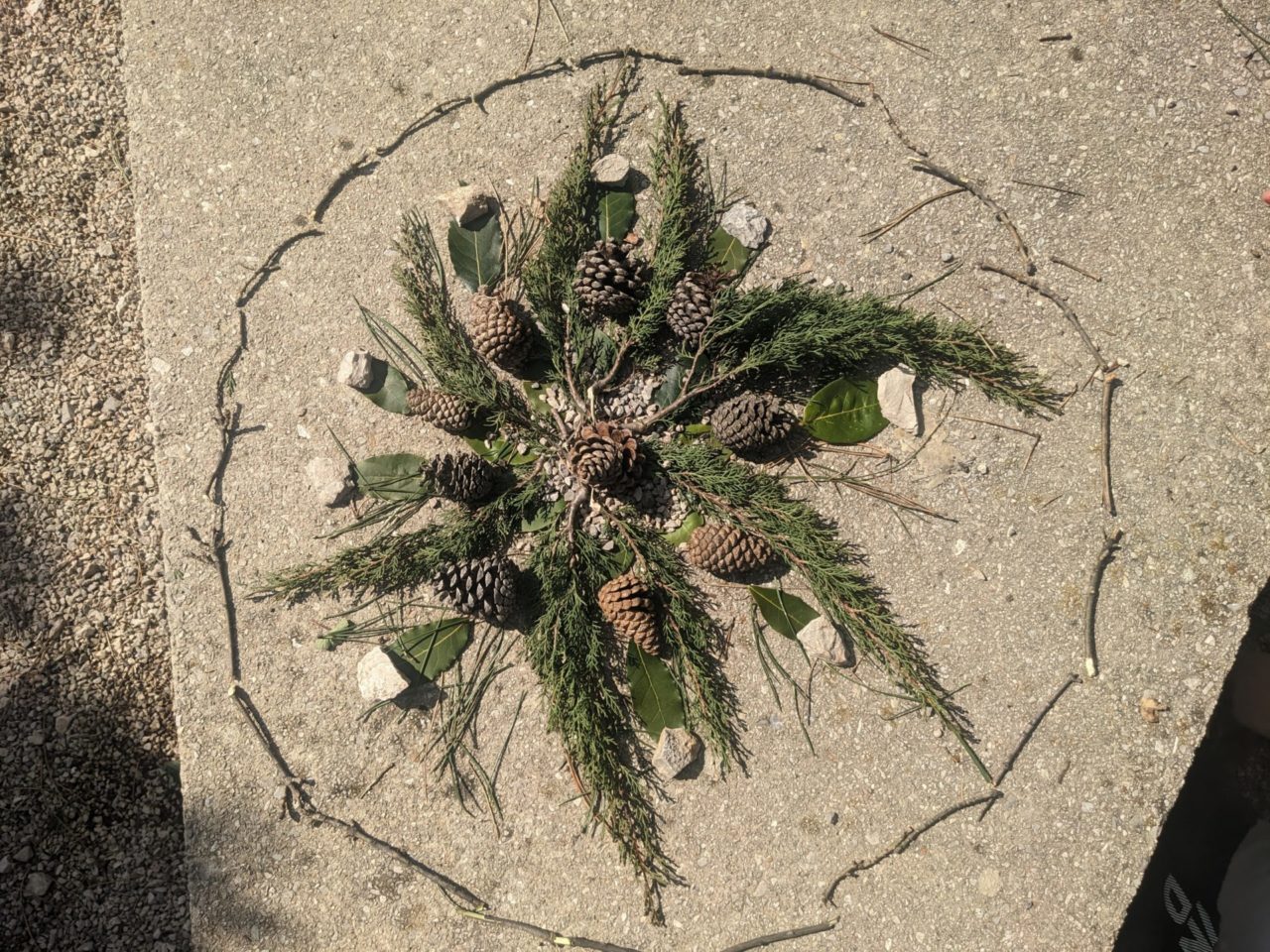 park suma sveti kriz akcija ciscenja (12) park suma sveti kriz akcija ciscenja (12)