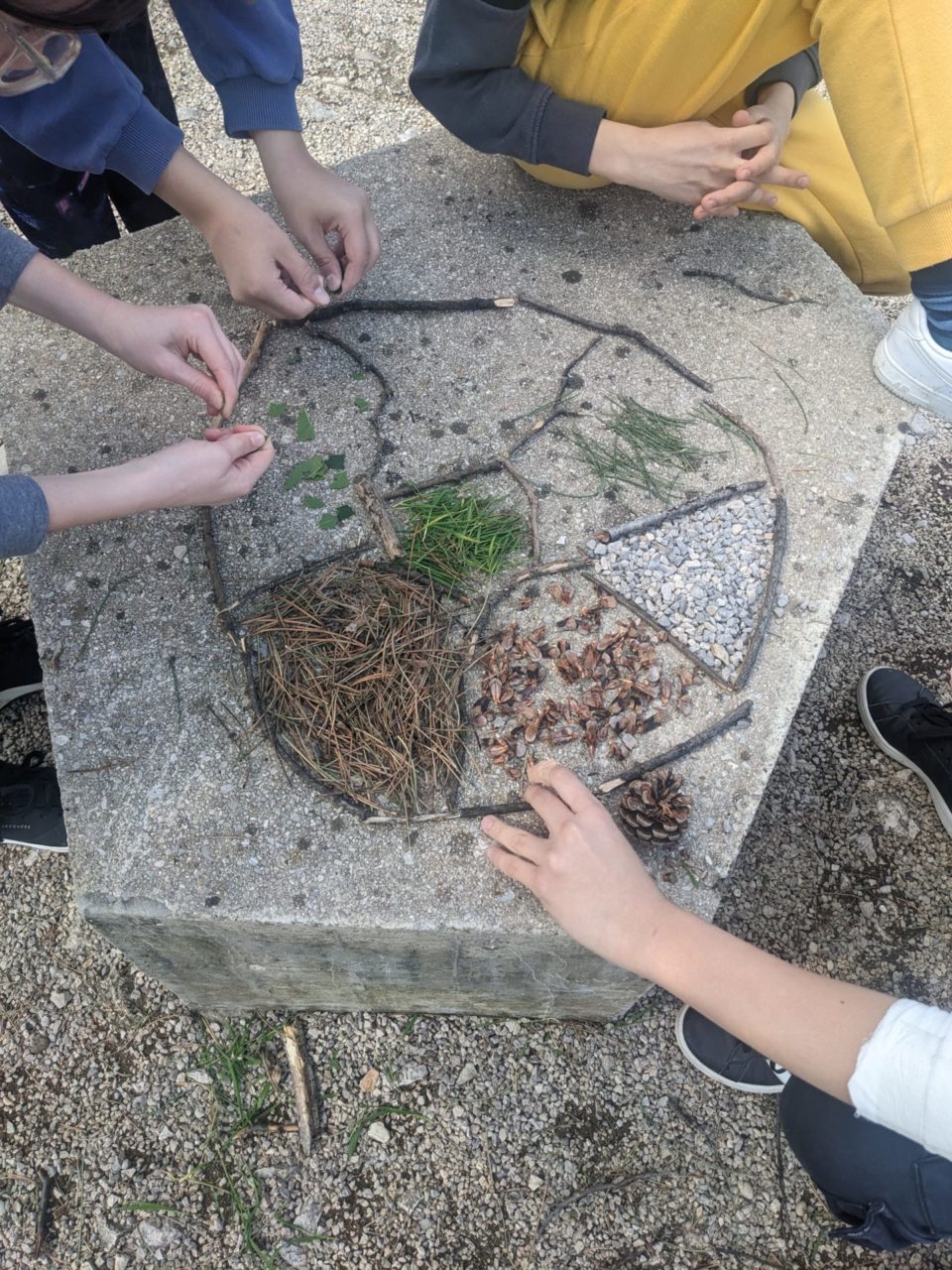 park suma sveti kriz akcija ciscenja (6) park suma sveti kriz akcija ciscenja (6)