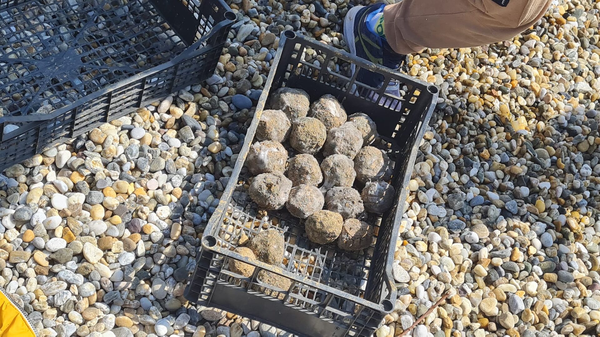 plaza tomasevac opatija eko akcija svjetski dan vode (6) plaza tomasevac opatija eko akcija svjetski dan vode (6)