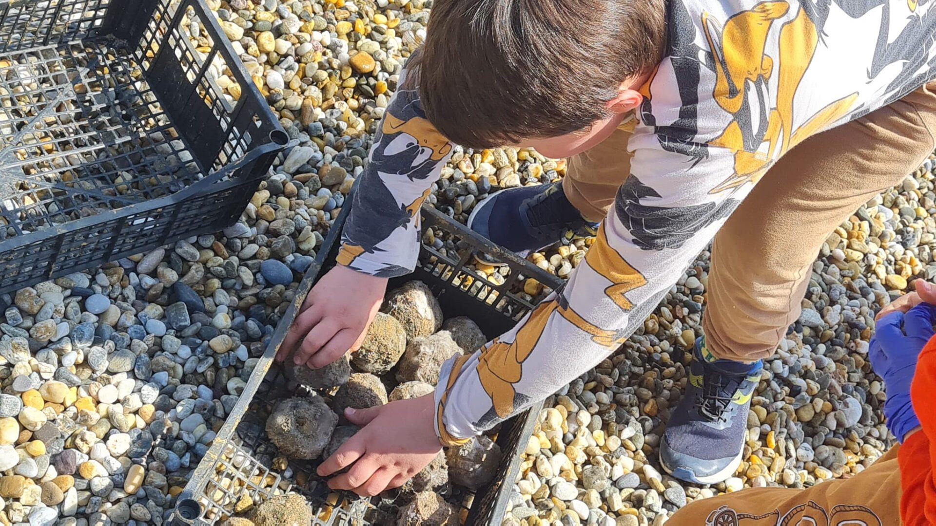 plaza tomasevac opatija eko akcija svjetski dan vode (8) plaza tomasevac opatija eko akcija svjetski dan vode (8)