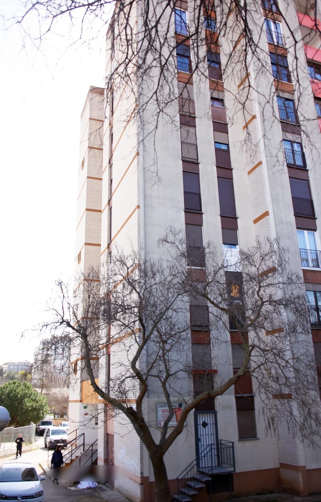 suicid pula pixsell 2