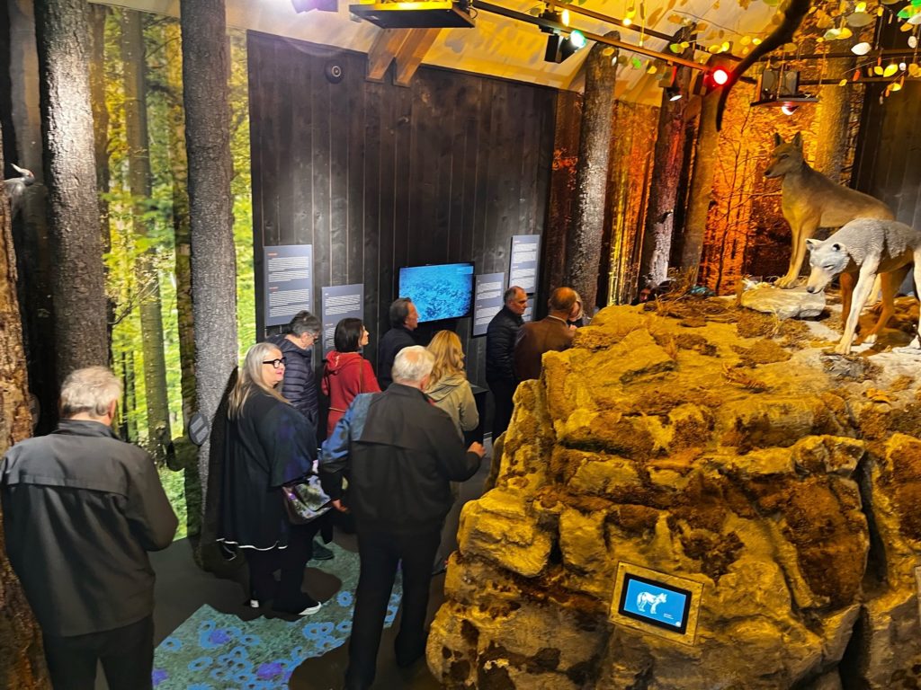 12-1024×768 12-1024×768