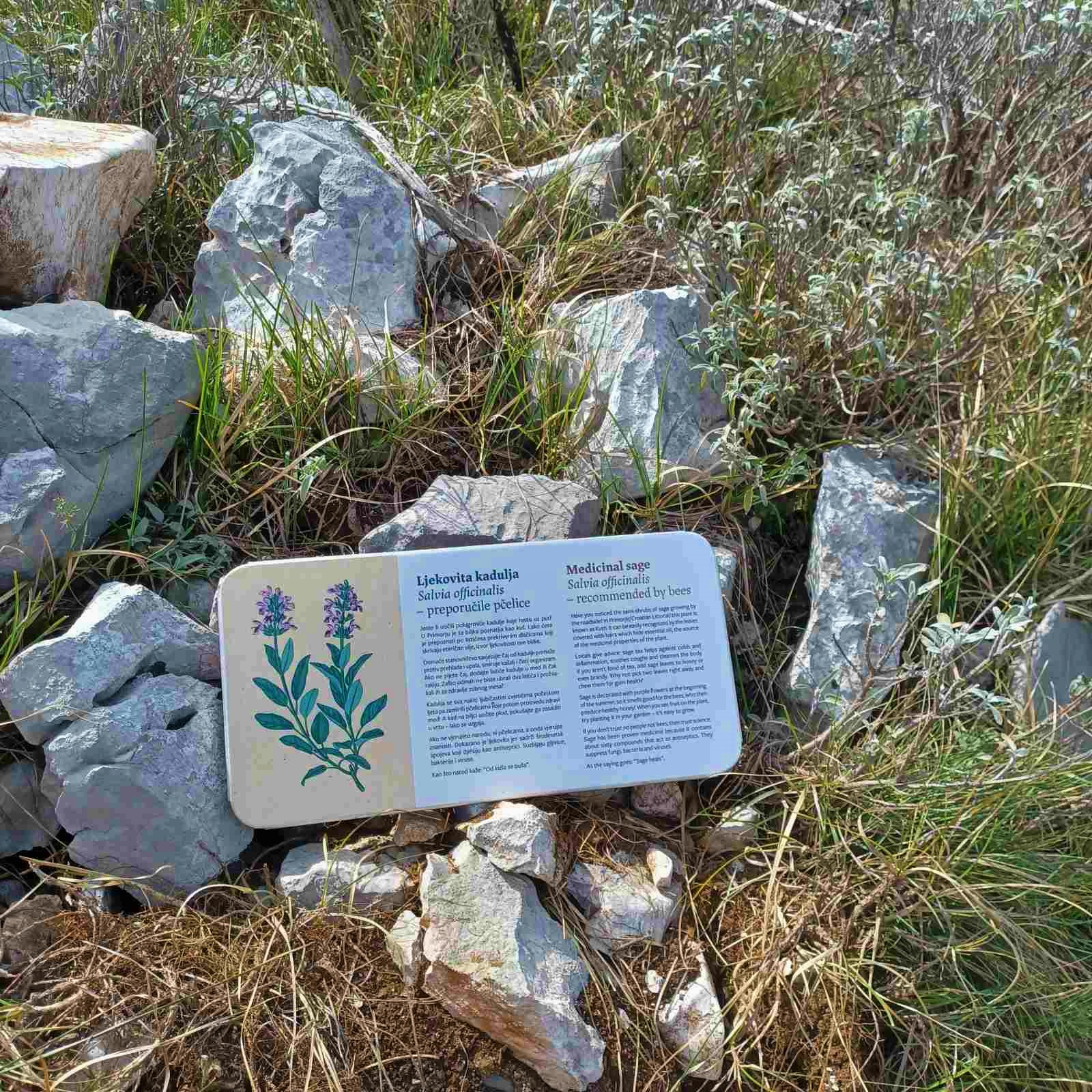 Tabele ljekovito bilje Tabele ljekovito bilje