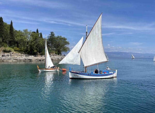 ika šparuga i vino2023 15