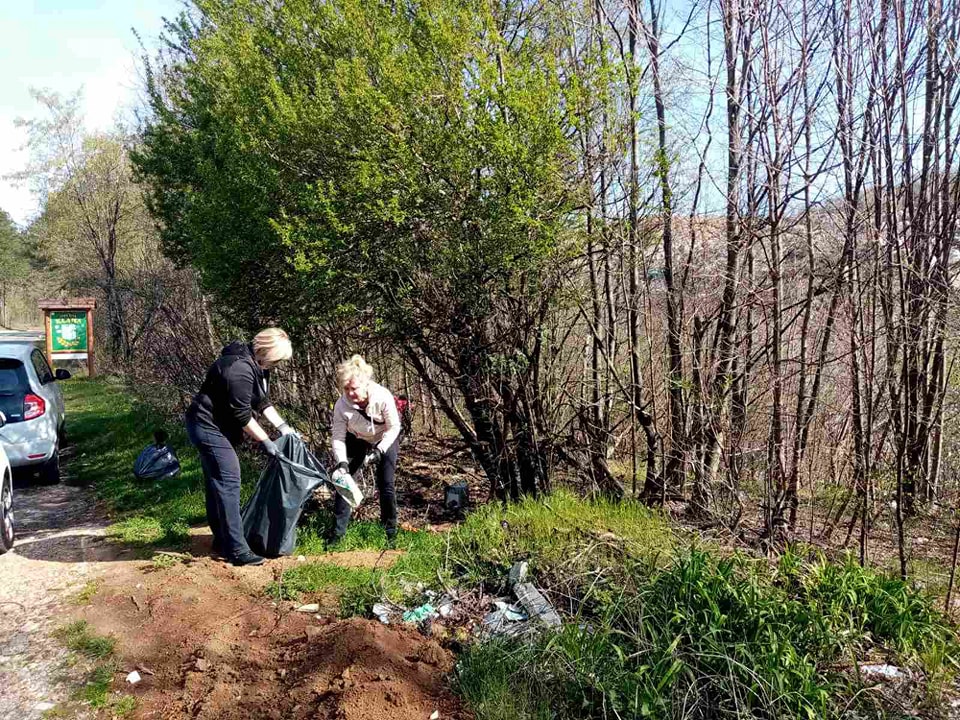 viskovo zelena cistka (12) viskovo zelena cistka (12)