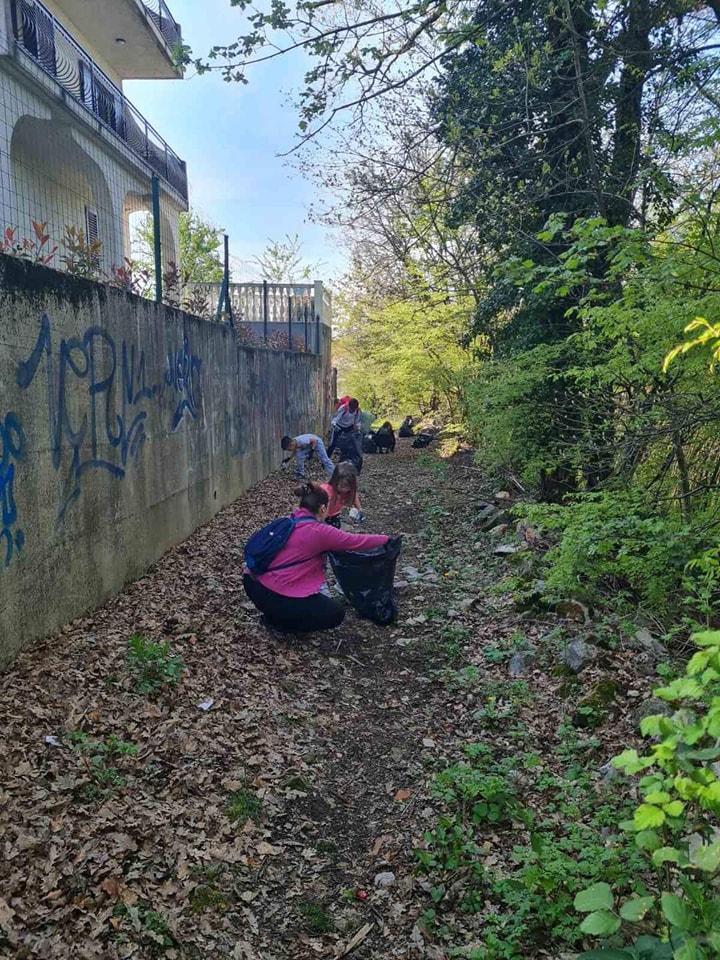 viskovo zelena cistka (8) viskovo zelena cistka (8)