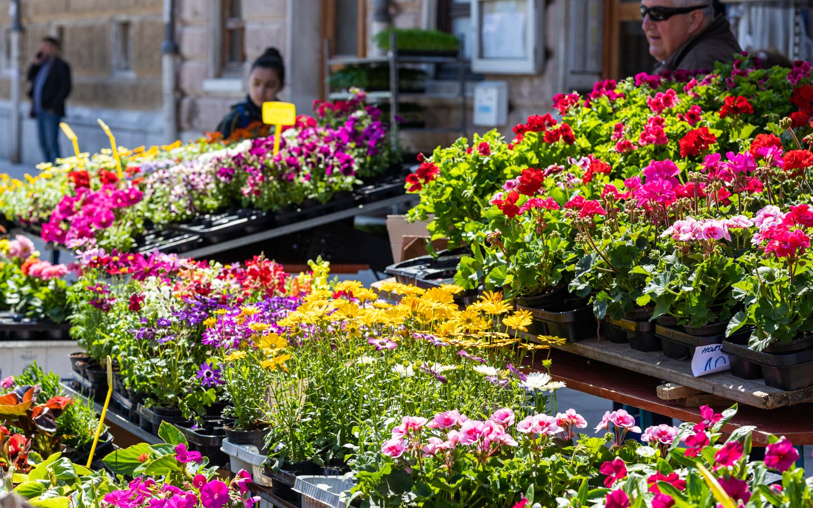 Ilustrativne 4.5.-13 Ilustrativne 4.5.-13