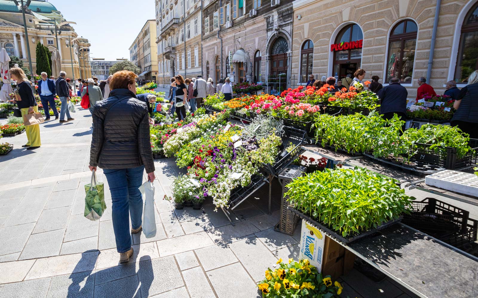 Ilustrativne 4.5.-31 Ilustrativne 4.5.-31