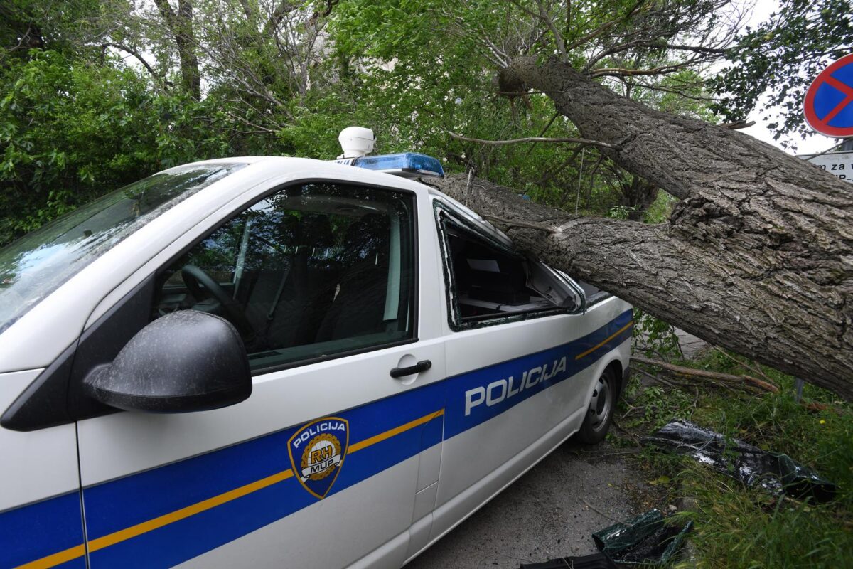 ibenik: Jak vjetar sruio veliko drvo i razbio policijski kombi