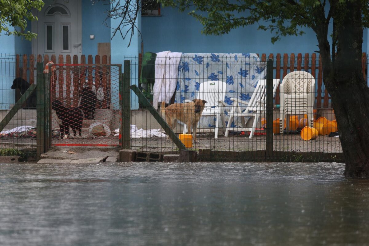 U Ogulinu poplavljen azil za životinje