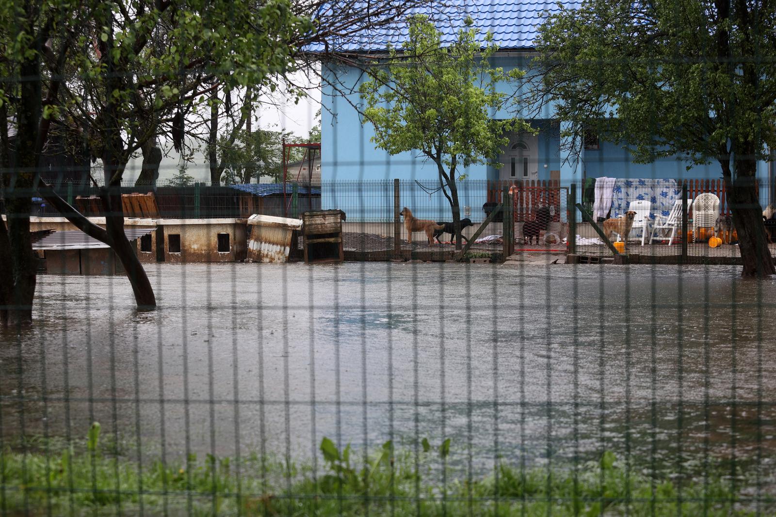 U Ogulinu poplavljen azil za životinje