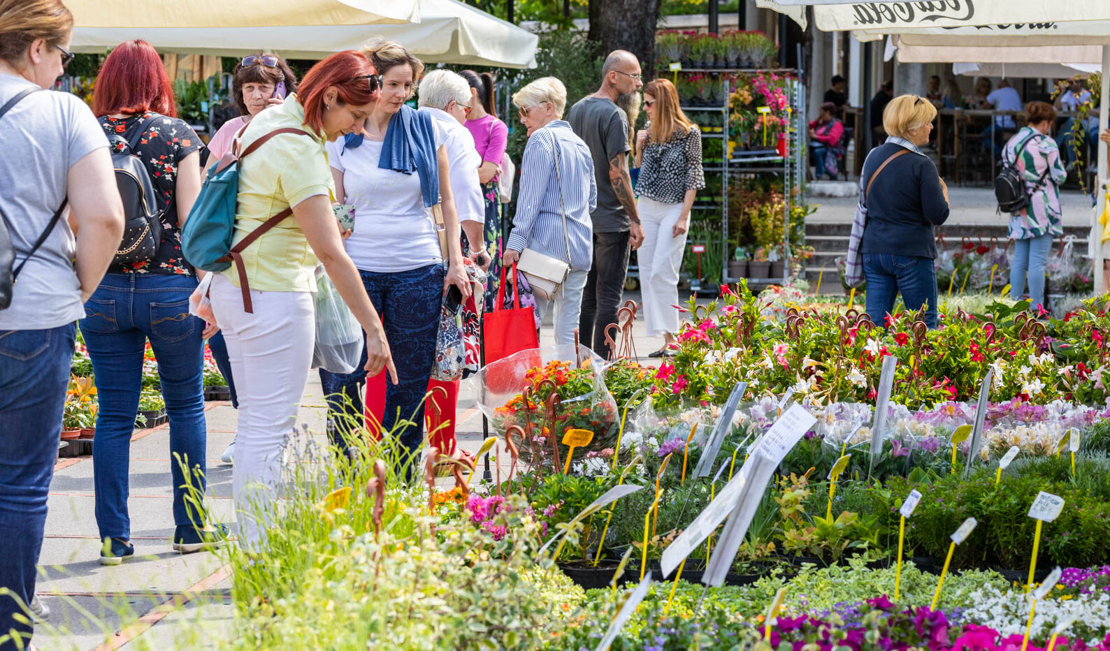 Sajam cvijeća 24.5.2023.-16
