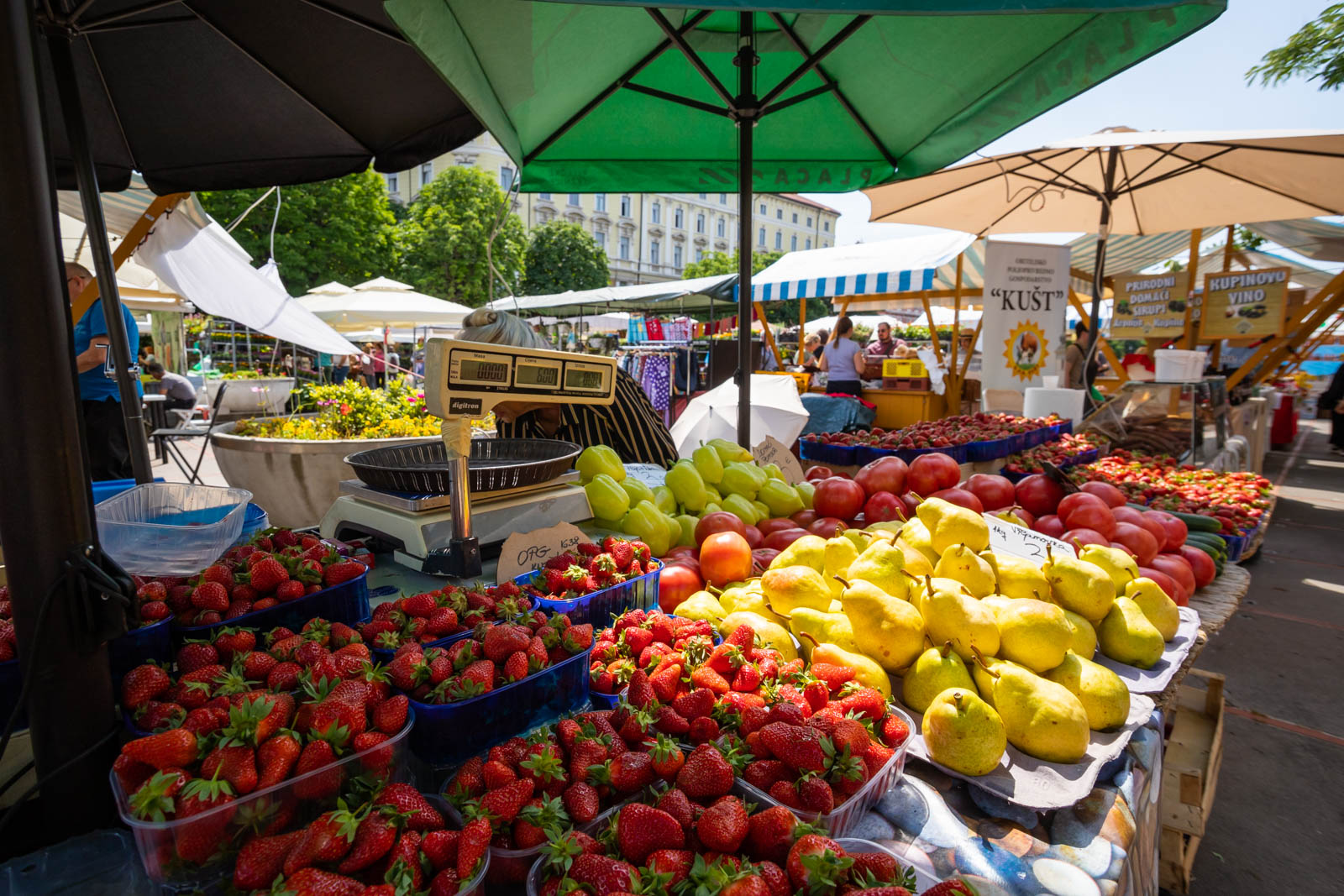 Sajam cvijeća 24.5.2023.-3