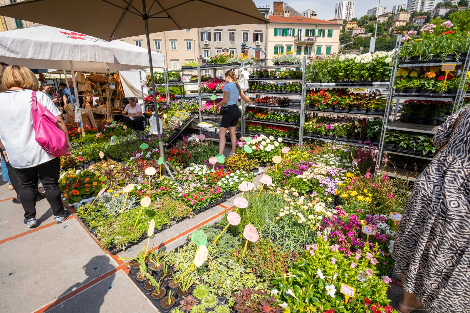 Sajam cvijeća 24.5.2023.-4