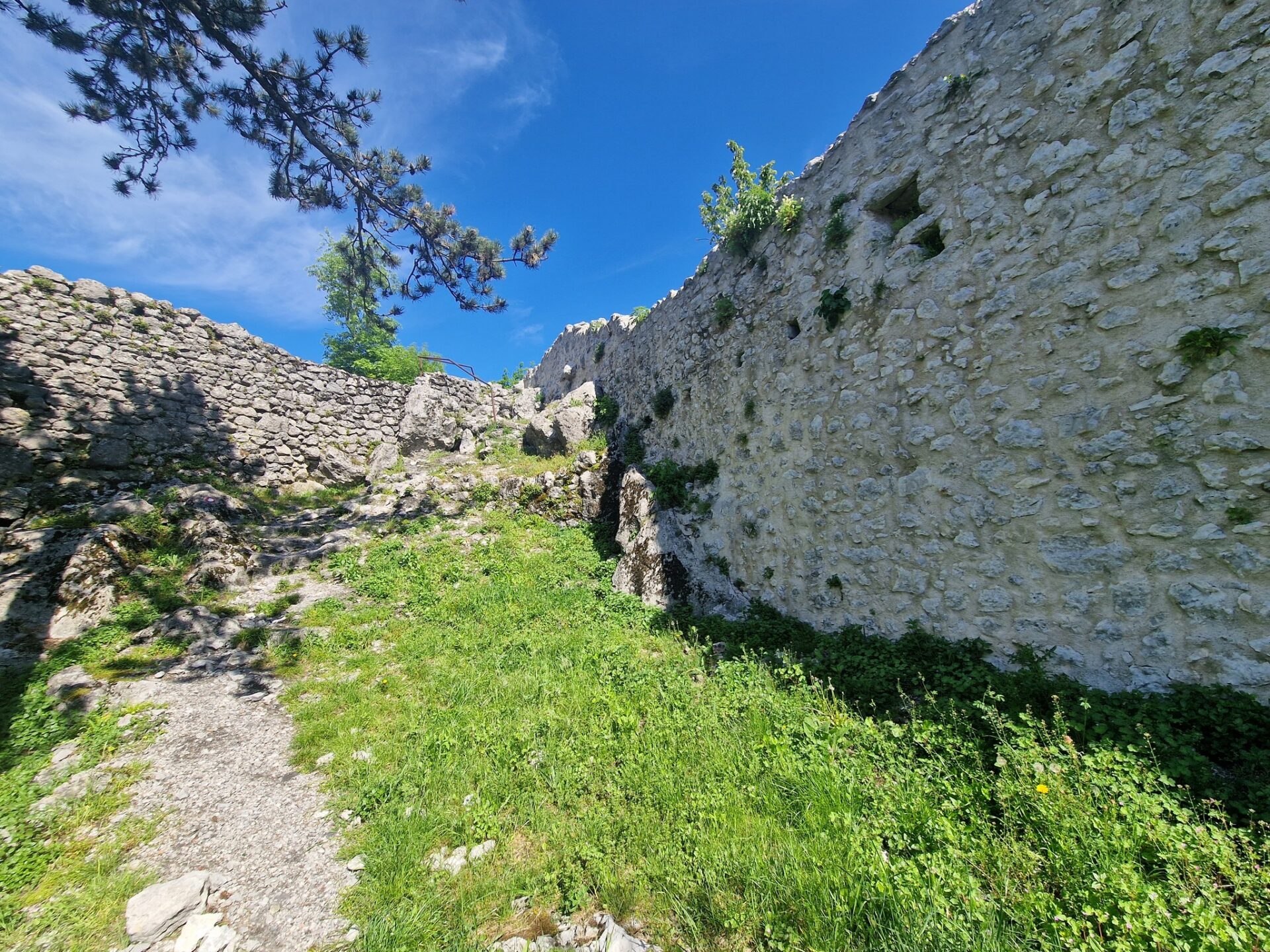 kastav kula malinica (2)