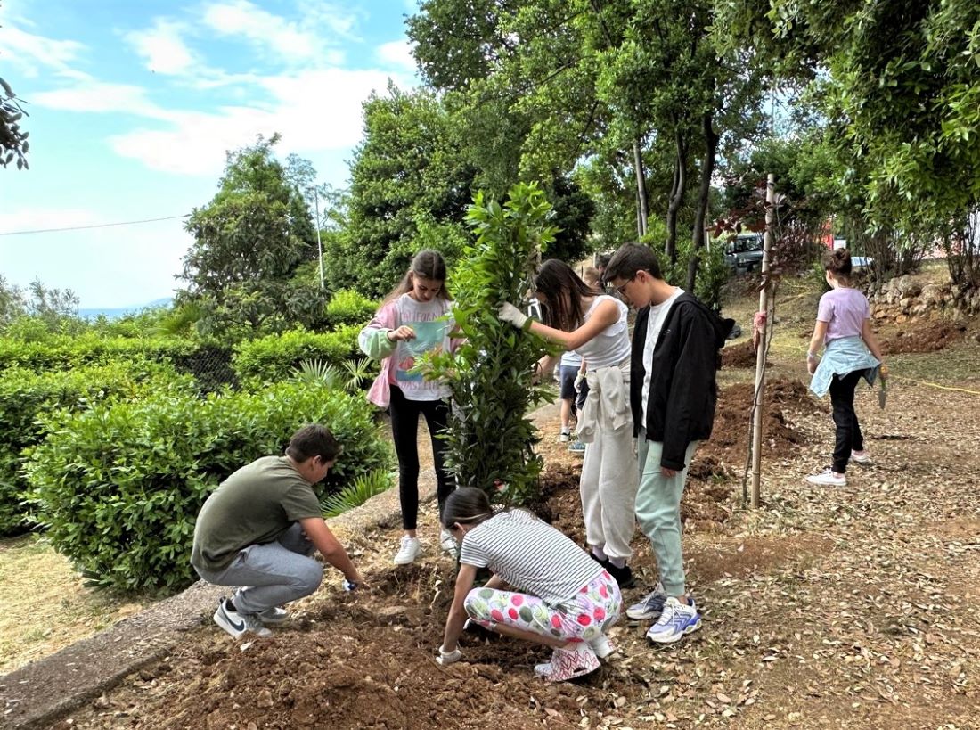 sadnja lovora opatija ucenici (3)