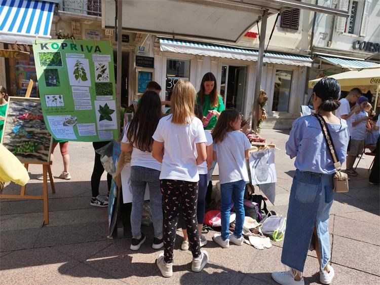 DRUŠTVO NAŠA DJECA12 DRUŠTVO NAŠA DJECA12