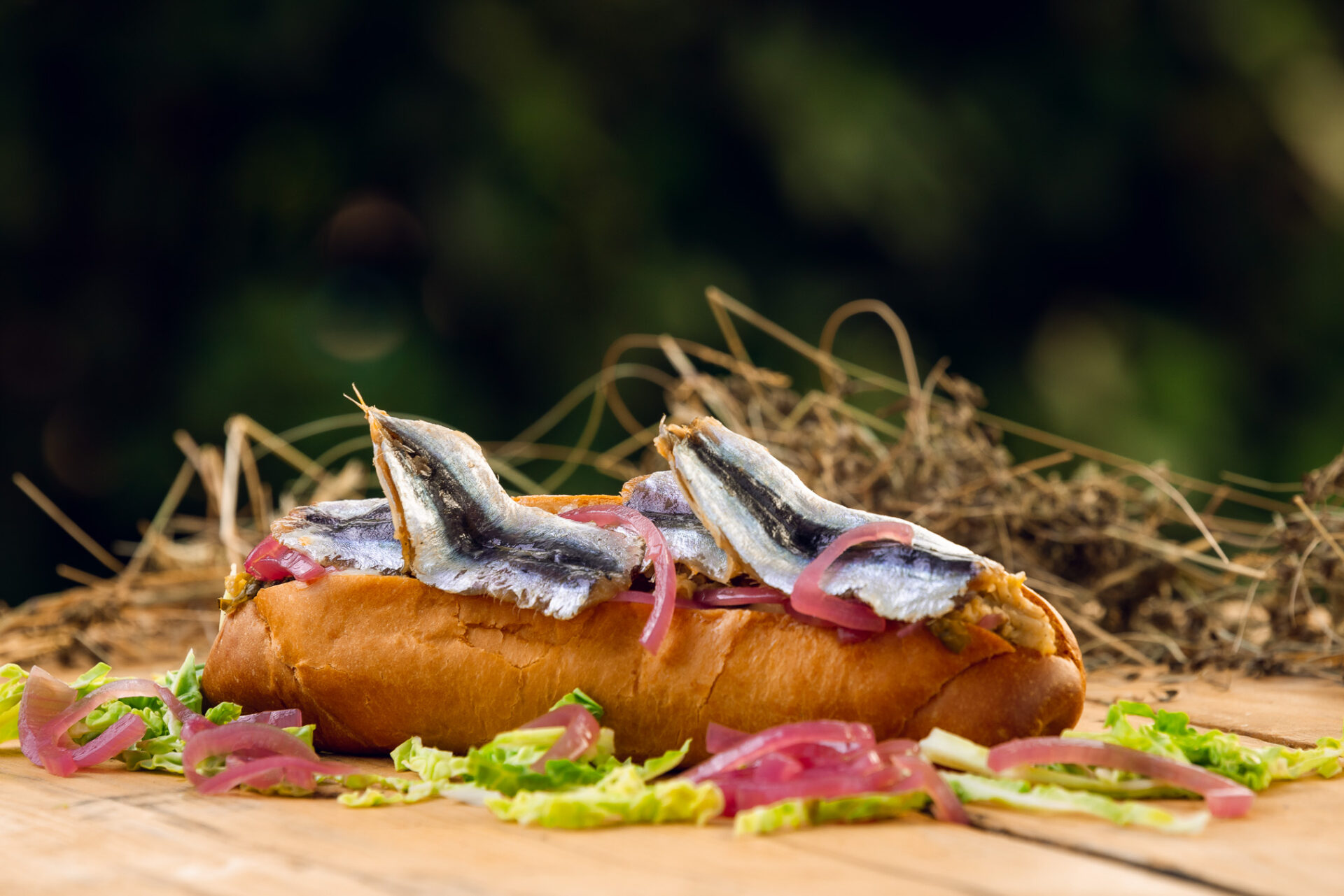 Food Truck Krk najava 14 Food Truck Krk najava 14