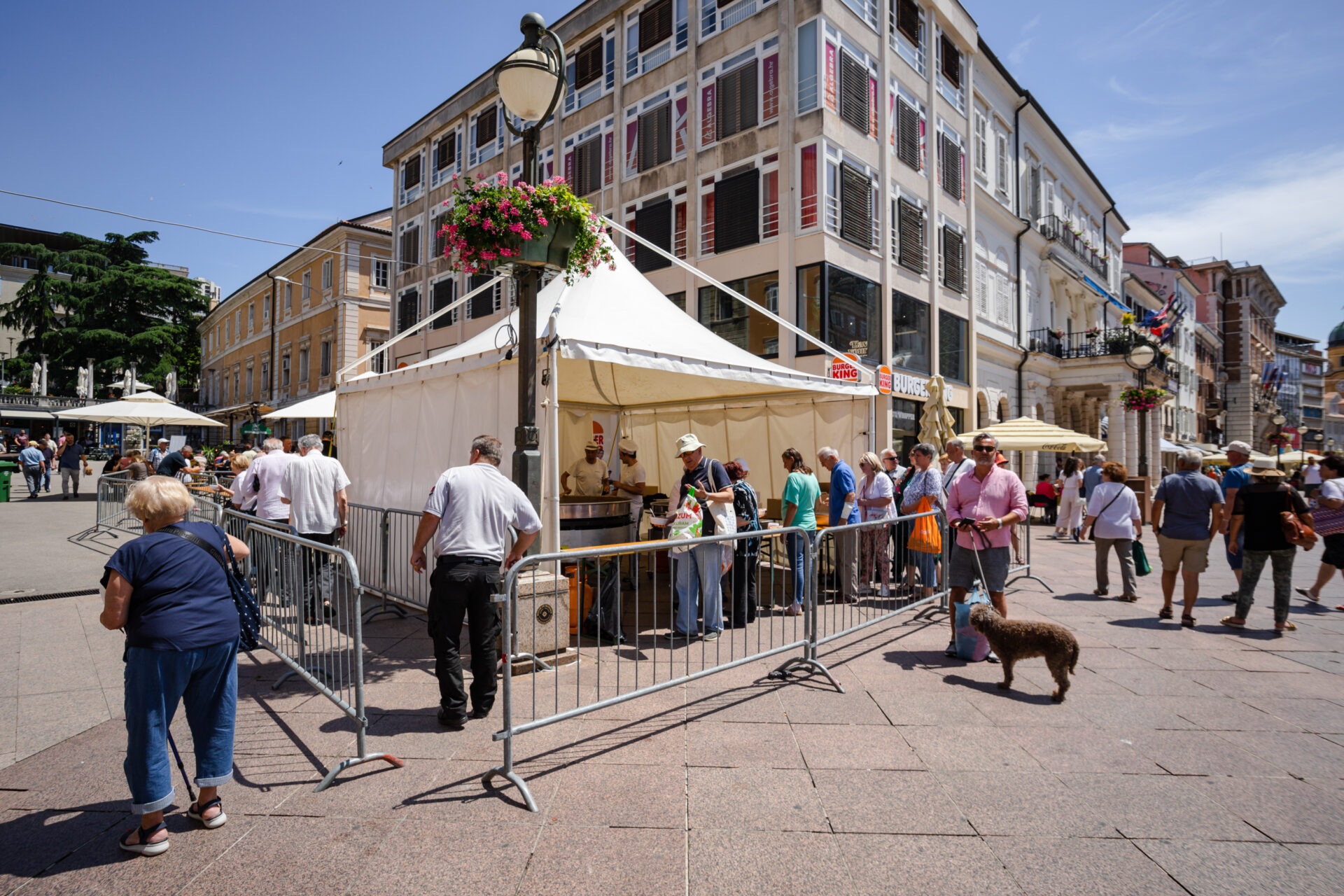 Gastro korzo-506 Gastro korzo-506