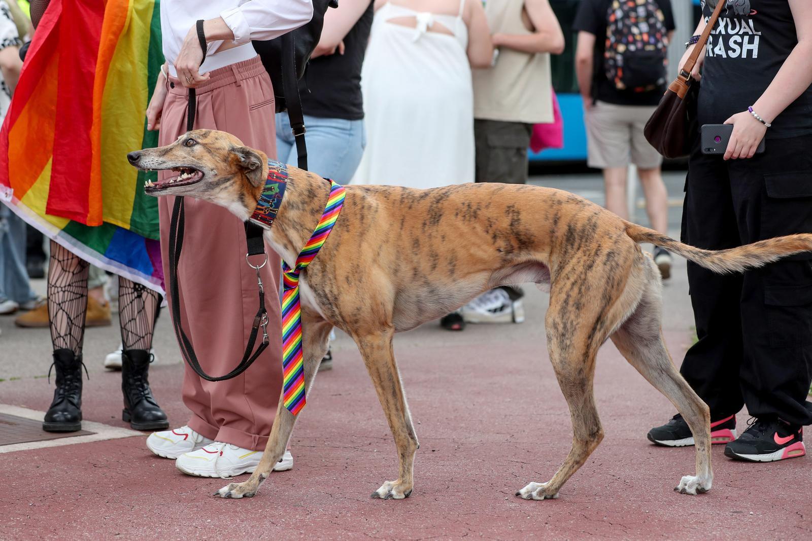 Zagreb: Okupljanje sudionika 22. Povorke ponosa na Rooseveltovom trgu Zagreb: Okupljanje sudionika 22. Povorke ponosa na Rooseveltovom trgu