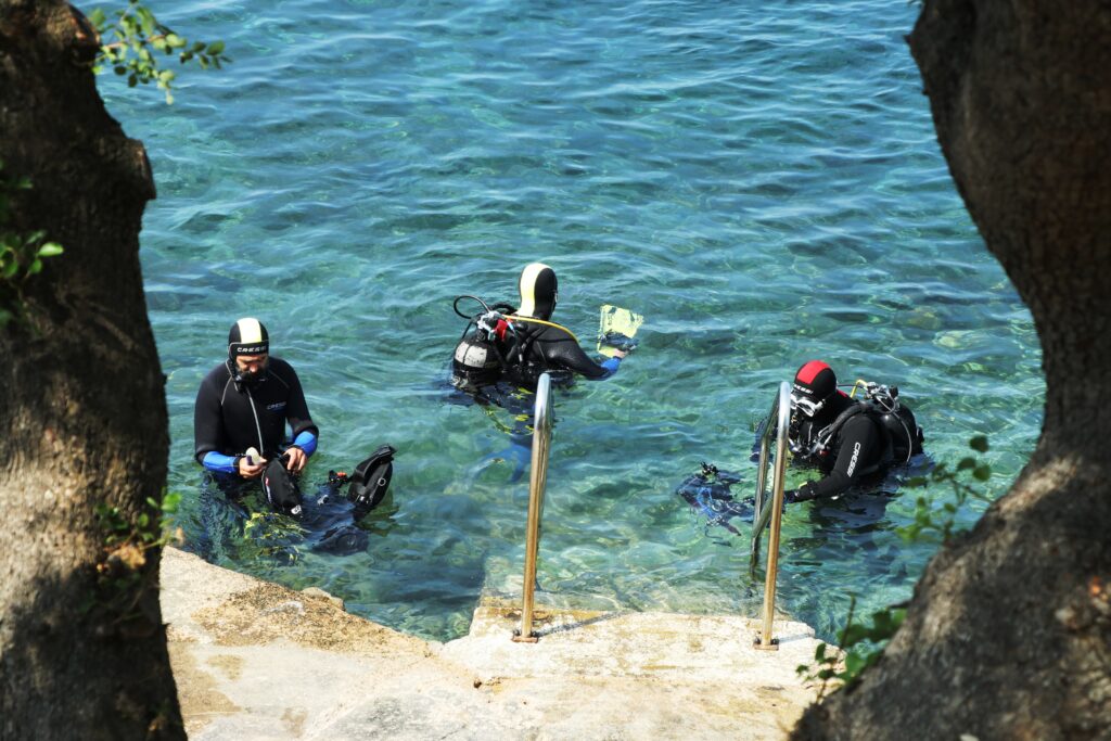 eko kostrena ciscenje (10) eko kostrena ciscenje (10)