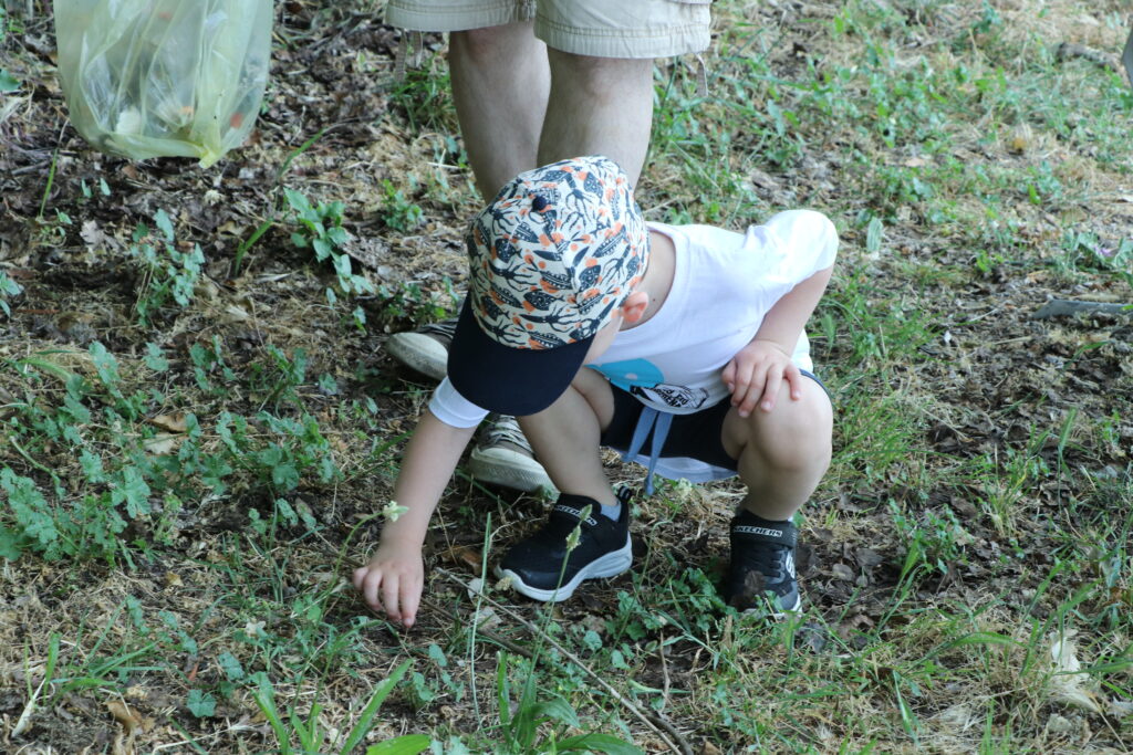 eko kostrena ciscenje (18) eko kostrena ciscenje (18)