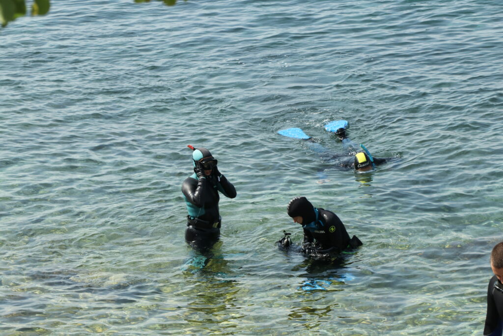 eko kostrena ciscenje (8) eko kostrena ciscenje (8)