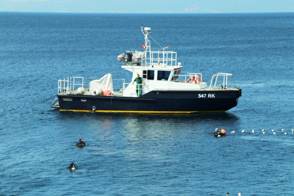 eko kostrena ciscenje (9) eko kostrena ciscenje (9)