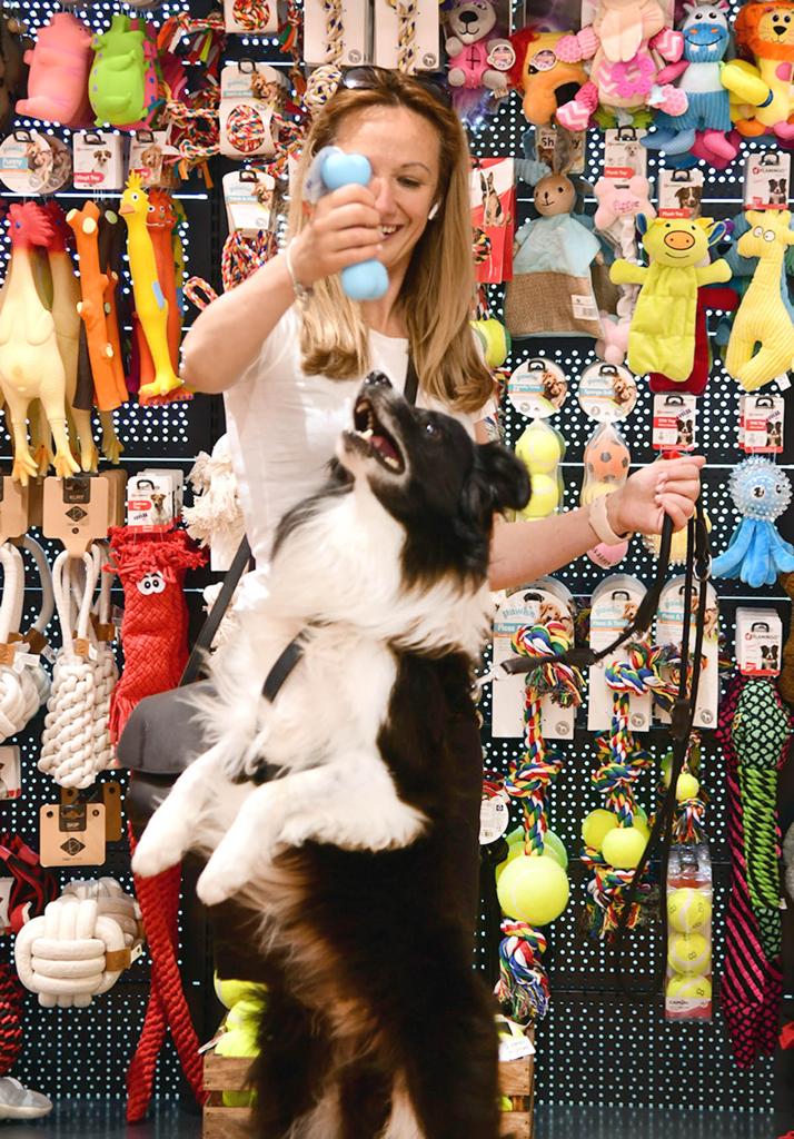 pet centar (6)