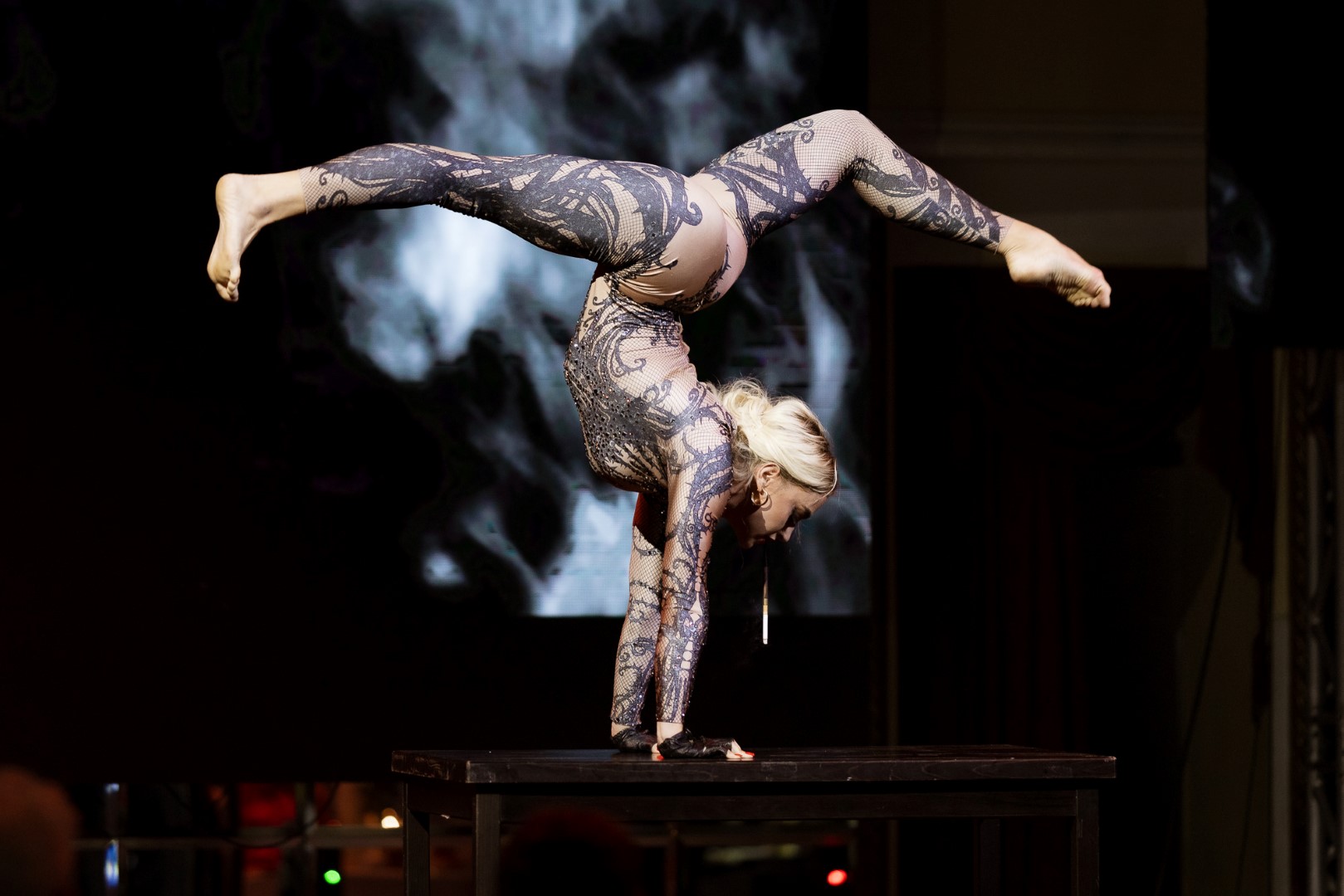 Mint Cabaret Dinner Show_12