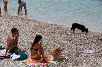 Rijeka: Pseca plaza na Pecinama